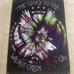 The Story So Far Tapestry